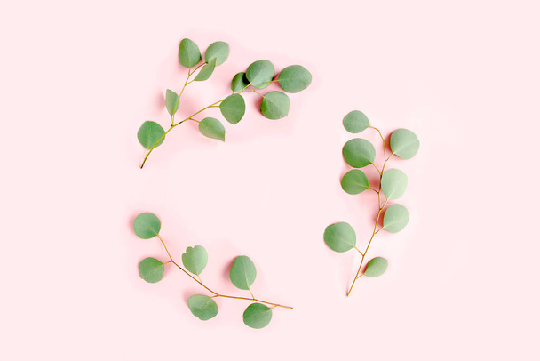 Round wreath frame made of branches eucalyptus populus isolated on pink background. lay flat, top view - Foto, immagini