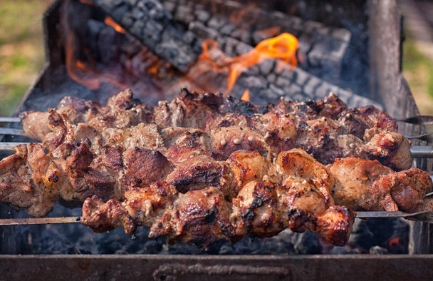 Shish kebab on skewers on the fire - Photo, Image