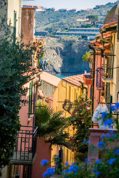 Collioure přímořská vesnice na vermeille pobřeží, v Occitania. - Fotografie, Obrázek