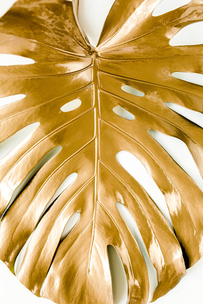Arany trópusi pálma elhagyja Monstera fehér alapon. Lapos fektetés, felülnézet minimális koncepció. - Fotó, kép