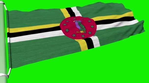 Η σημαία της Δομινίκας κυμάτιζε σε μια σταθερή ροή ανέμου.. - Πλάνα, βίντεο