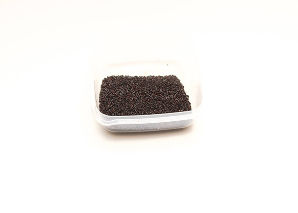 Homegrown Bok Choy sementes em recipiente de plástico isolado no fundo branco. Choi pak caseiro e herança, ou pok choi, sementes de repolho chinês pronto para o plantio - Foto, Imagem