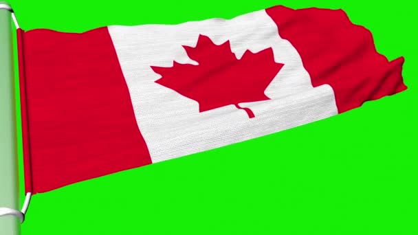 Канадский флаг развевается в постоянном потоке ветра. - Кадры, видео