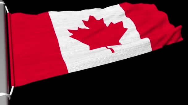 The Canadian flag flies in a steady stream of wind. - Footage, Video