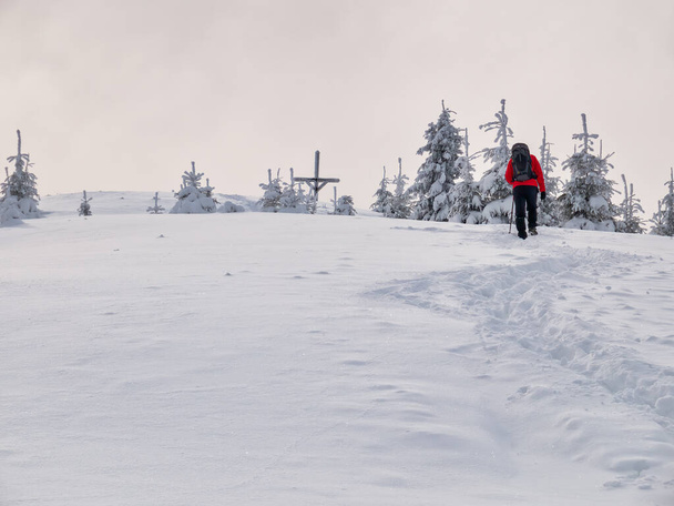 Pěší turistka na stezce procházející se sněhem. Zimní krajina v Karapatských horách, Rumunsko. - Fotografie, Obrázek