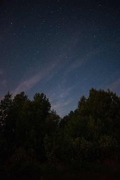 Starry sky over the forest summer night - Foto, Imagem