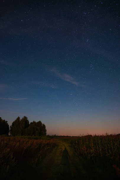 Starry sky over the road in the field - Фото, изображение