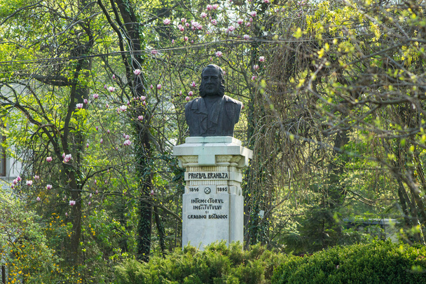 Estatua de Dimitrie Brandza
 - Foto, imagen