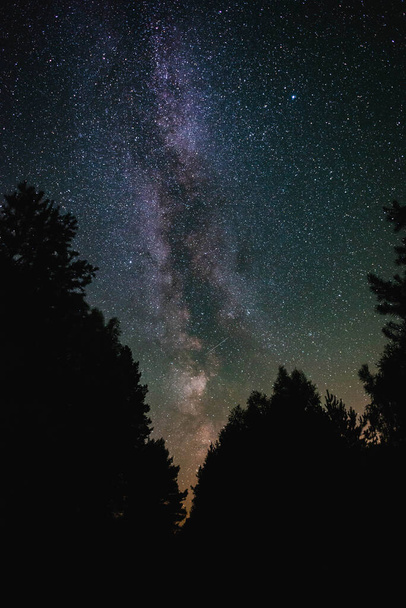 Night sky with milky way over the forest summer night - Фото, изображение