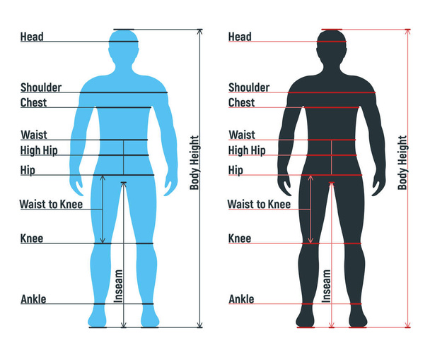 Άνδρας μέγεθος διάγραμμα ανατομία του ανθρώπινου χαρακτήρα, οι άνθρωποι ομοίωμα εμπρός και όψη πλευρά του σώματος σιλουέτα, απομονώνονται σε λευκό, επίπεδη διανυσματική απεικόνιση. Cartoon man mannequin κλίμακα διαστάσεων ανθρώπων. - Διάνυσμα, εικόνα