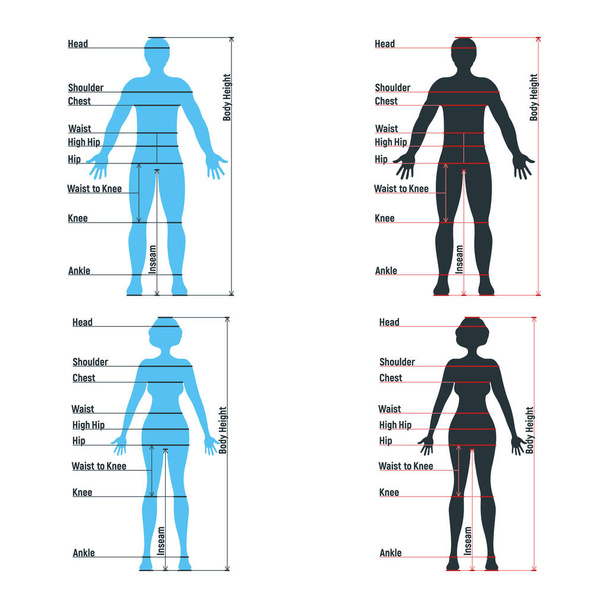 Жіночий і чоловічий розмір діаграми анатомії людського характеру, люди манекенні спереду і вид збоку силует тіла, ізольовані на білій, плоскій векторній ілюстрації. Мультфільм жінка манекен люди розмірність масштаб
. - Вектор, зображення