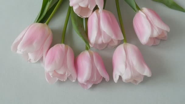 красивый розовый букет тюльпанов цветы на сером фоне, крупным планом - Кадры, видео