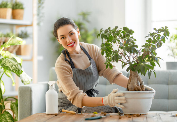 Woman caring for plants at home in spring day. - Photo, image