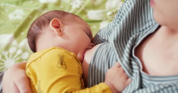 Mãe amamentando seu bebê recém-nascido no sofá. O leite das mães peito é um remédio natural para o bebê. conceito de família, alimentação, criança, alimentação e paternidade - Filmagem, Vídeo