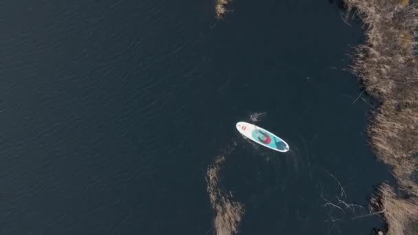 sup barche galleggiano nella palude - Filmati, video