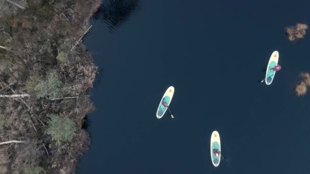 bateaux de sup flottent dans le marais - Séquence, vidéo