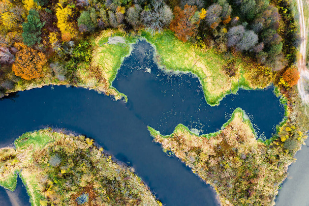 Abstrakte Herbstlandschaft. Fluss mit herbstlich lebendigen Flussufern von oben. Hintergrund des Sturzes. - Foto, Bild
