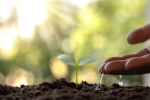 Los agricultores están regando pequeñas plantas a mano con el concepto del Día Mundial del Medio Ambiente. - Foto, Imagen