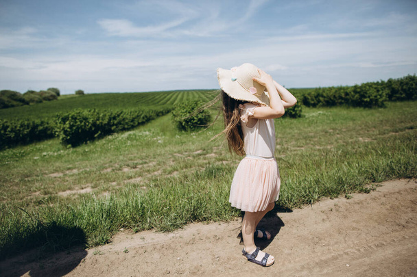 Holčička v klobouku chodí v létě na zelené louce. Zadní pohled - Fotografie, Obrázek