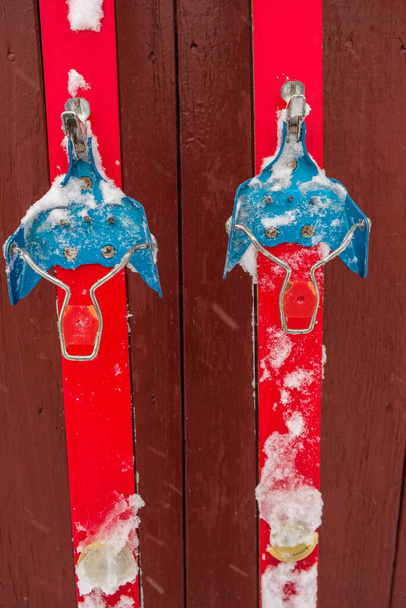 Red cross-country skis with blue bindings on the wooden wall background. Snow on skis. Vertical image. - Photo, Image