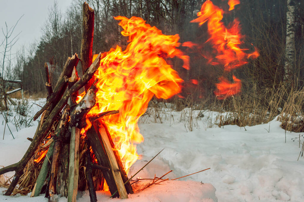 寒い冬の日に雪の中で薪を焚く - 写真・画像