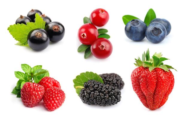 Collage of berry - Foto, Imagem