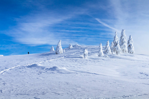Winter landscape with snow in mountains - Zdjęcie, obraz