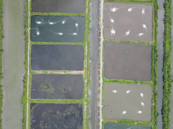 Aerial view of a fishery and prawn farm in Santubong area of Sarawak, Malaysia - Photo, Image