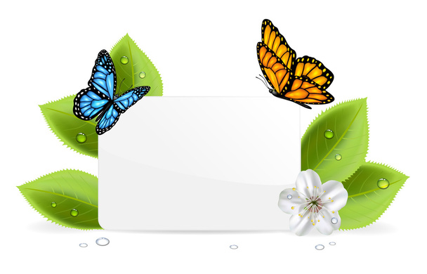 Paper card with butterflies - Vettoriali, immagini