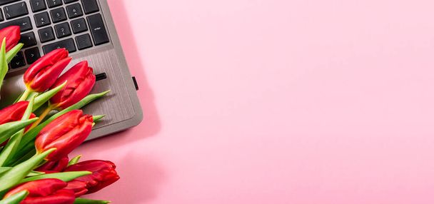 Bouquet rosso di tulipani su computer portatile su sfondo di carta rosa desktop. Modello per la visualizzazione di pubblicità o blog con spazio di copia, luogo di testo. Biglietto da visita. Certificato di vacanza. Bandiera. Tecnologia informatica. - Foto, immagini