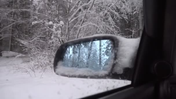 Боковое зеркало автомобиля крупным планом внутреннего снежного зимнего леса. - Кадры, видео