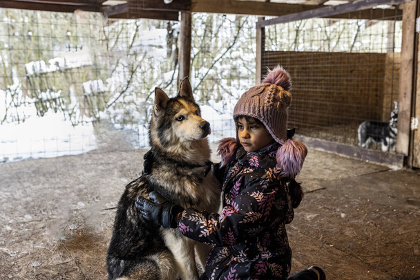 schönes Mädchen mit lila Hut spielt mit großen Hunden Husky in einer Voliere - Foto, Bild