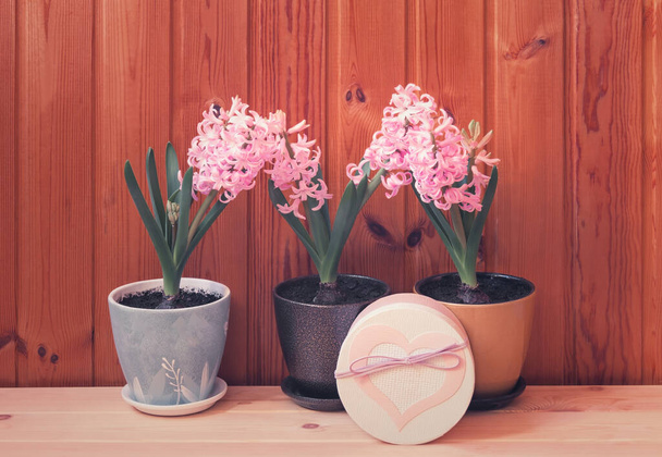 Üç pembe sümbül çiçeği ve ahşap masada kalp şeklinde desenli hediye kutusu.. - Fotoğraf, Görsel