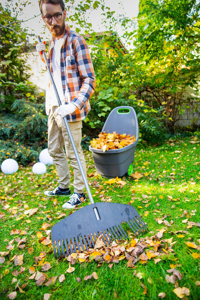 Collecting autumn leaves from a lawn with a rake, selective focus. A man with a rake during autumn gardening works in a backyard.  - Photo, Image
