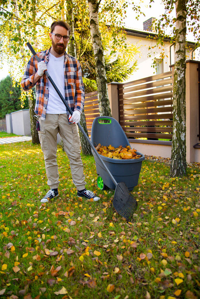 A man during autumn gardening works in a backyard. Collecting autumn leaves from a lawn with rake and a plastic container. - Фото, изображение
