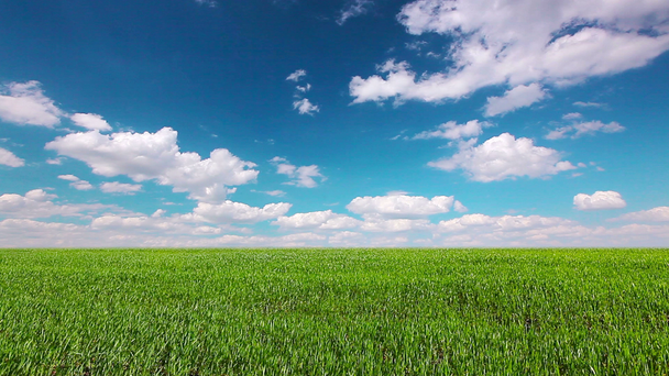 Campo sotto cielo nuvoloso
 - Filmati, video