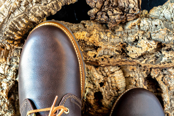 selektivní zaměření detailu špičky hnědé kožené turistické boty na kůře stromu, aby byla chráněna před chladným zimním počasím - Fotografie, Obrázek