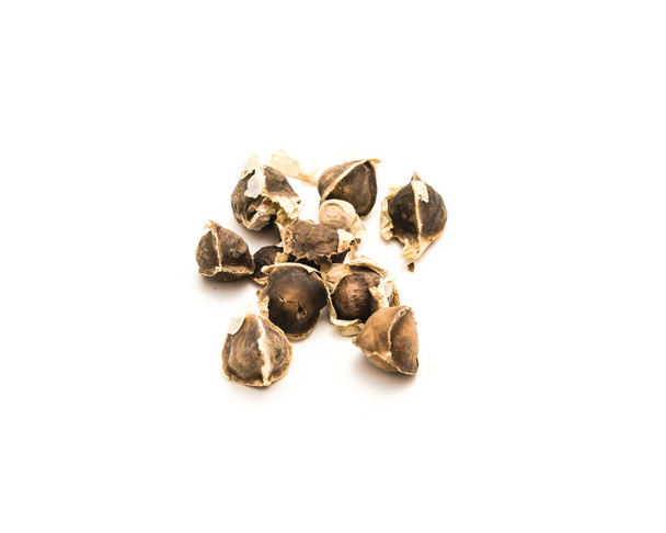 Groep ongepelde en kernel van Moringa Moringa oleifera zaden geïsoleerd op witte achtergrond. Homegrown ongepelde drumstick mierikswortel, ben olie, benzolive zaden klaar voor aanplant - Foto, afbeelding