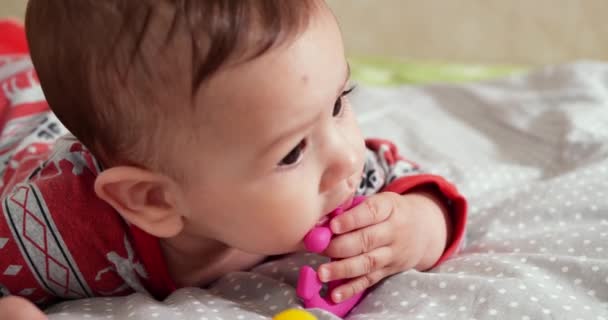 kojenecká, dětská koncepce - detailní záběr šťastného usměvavého miminka si hraje s popruhem. Řezání zubů. První zuby. Joy bezzubý 7 měsíců dítě kousnutí, kousá zuby hračka - Záběry, video