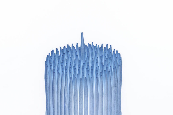 Negatief van bos van houten berken tandenstokers op zwart - Foto, afbeelding