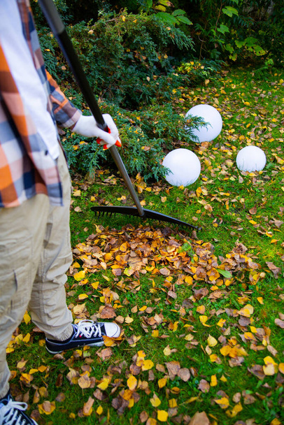 Vertical view of raking leaves from a lawn. Collecting autumn leaves with a rake. Autumn gardening works in a backyard.  - Photo, Image