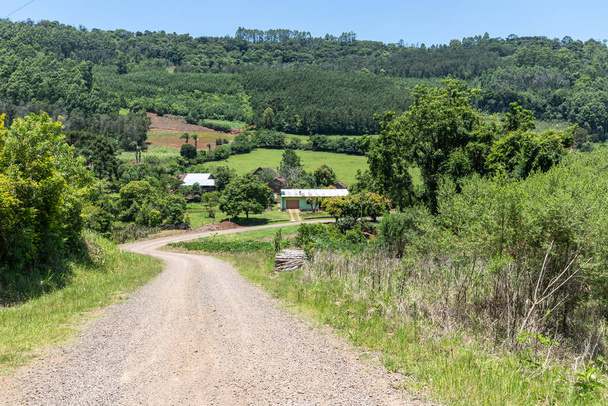 Schmutzige Straße, Wald und Felder, Dorf Linha nova, Rio Grande do Sul, Brasilien - Foto, Bild