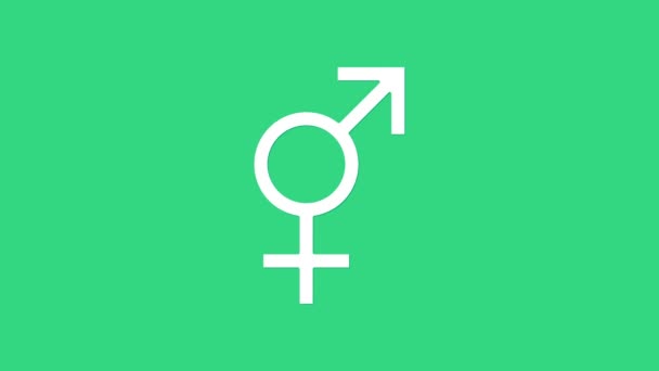 Біла стать ізольована на зеленому фоні. Символи чоловіків і жінок. Символ сексу. 4K Відеографічна анімація - Кадри, відео
