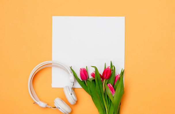 Stendardo quadrato e tulipani con cuffie su sfondo giallo - Foto, immagini