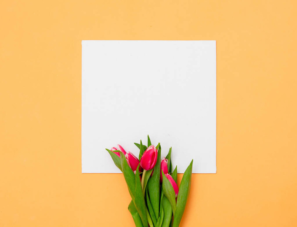 Square mockup banner and tulips on yellow background  - Photo, Image