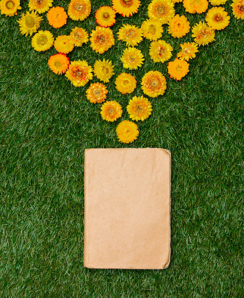 Dientes de león amarillos y un libro sobre hierba verde. Vista superior - Foto, imagen