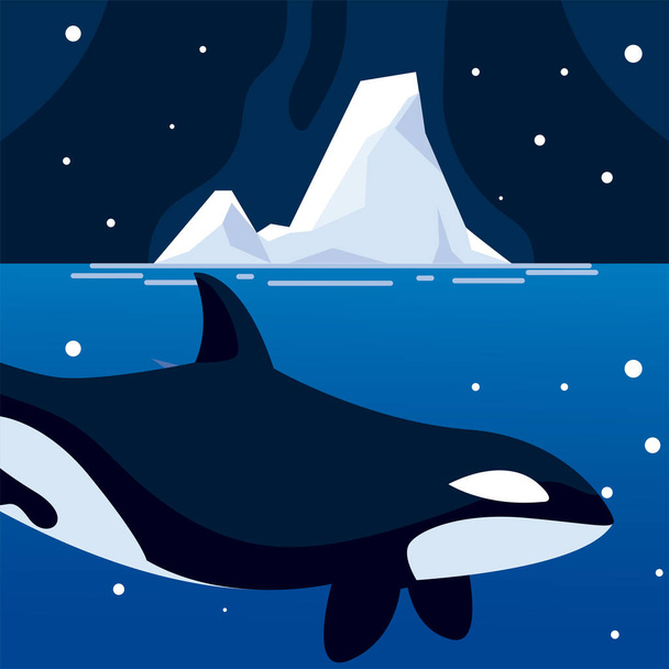 Orca Wal Nordpol Tier und Eisberg Nachthimmel - Vektor, Bild