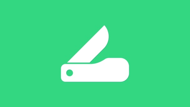 Icona del coltello bianco svizzero isolato su sfondo verde. Coltello multiutensile multiuso. Strumento multifunzionale. Animazione grafica 4K Video motion - Filmati, video