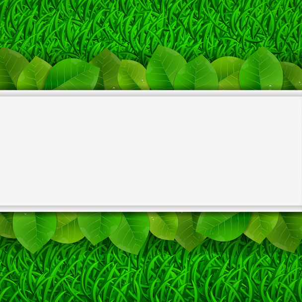 Hojas verdes en la tarjeta de hierba, ilustraciones vectoriales
 - Vector, Imagen