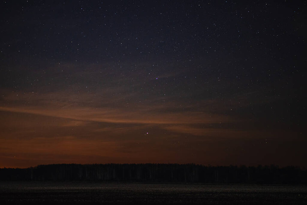 Starry sky over the forest near the field in the distance - Photo, image